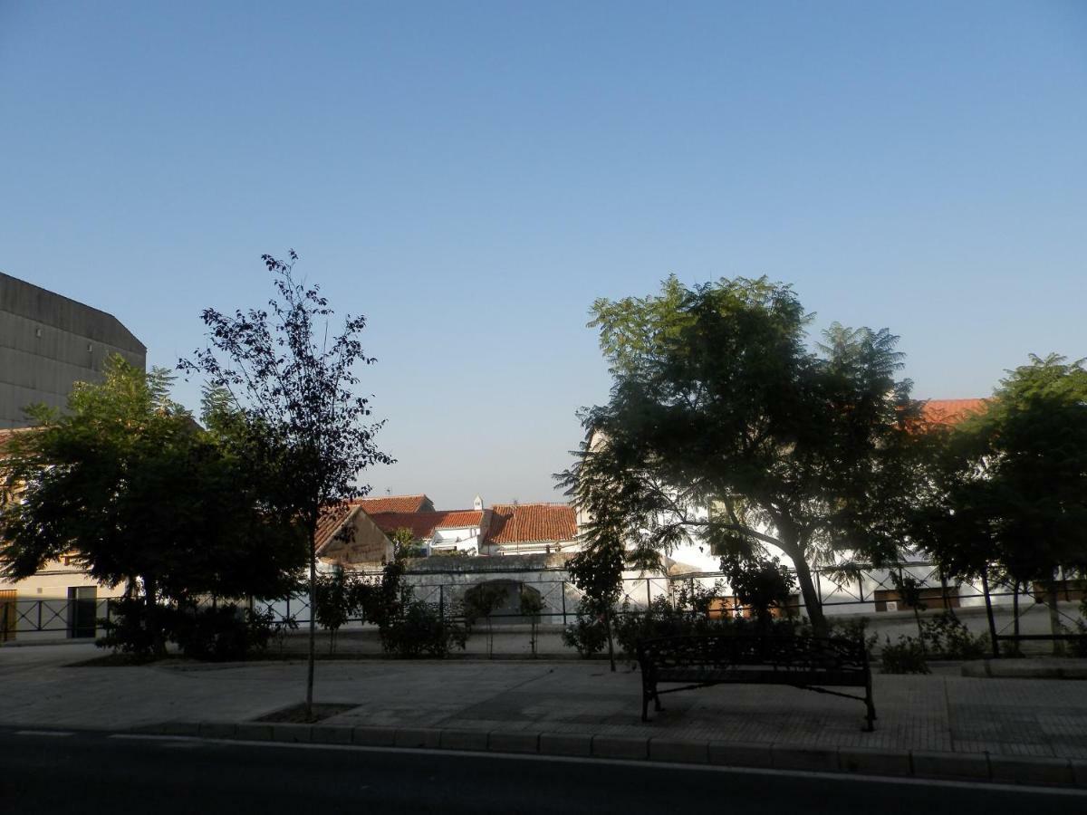 El Olivar Касерес Экстерьер фото